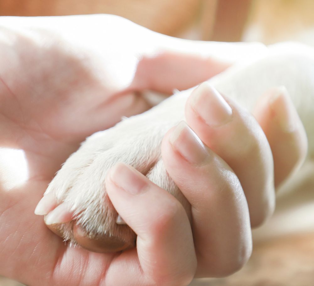 backup and reliability homepage