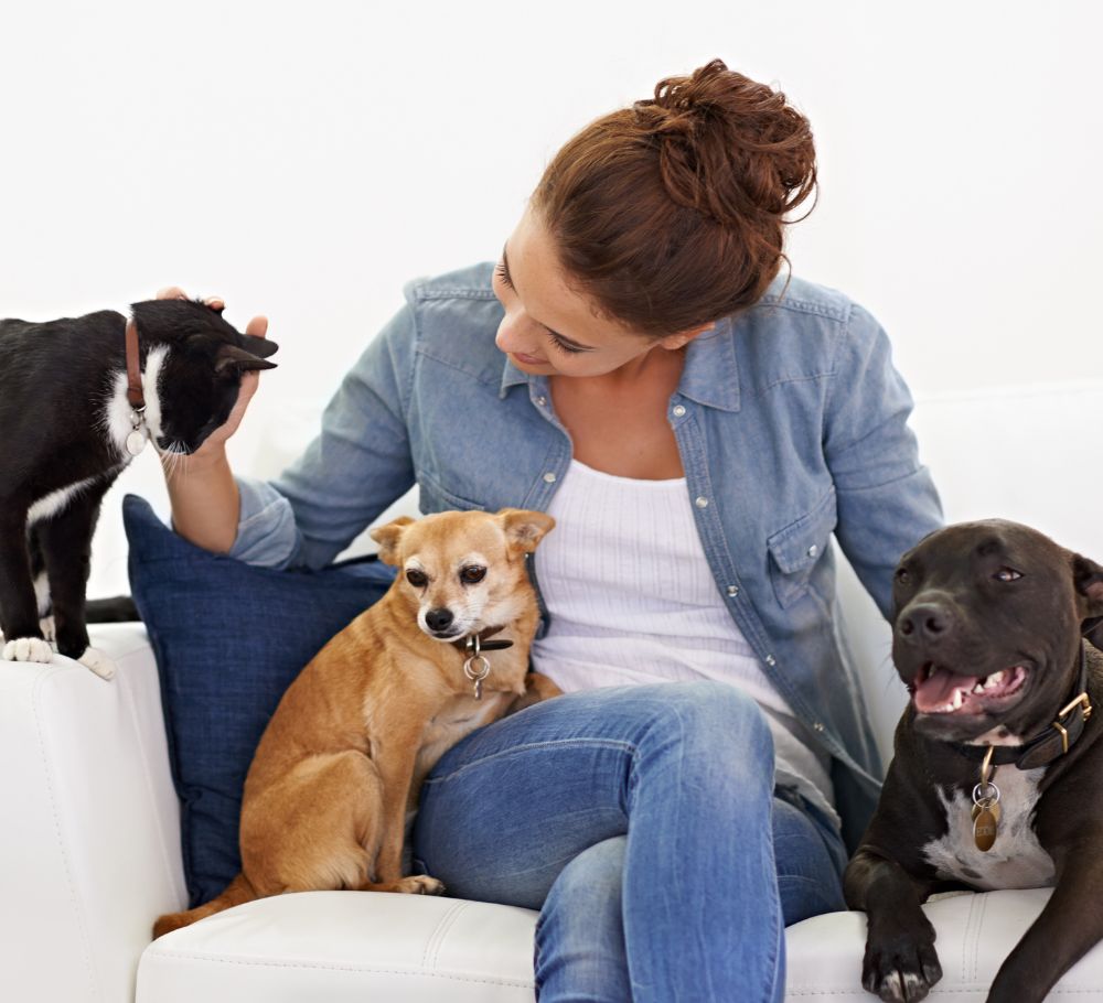 love for all pets homepage