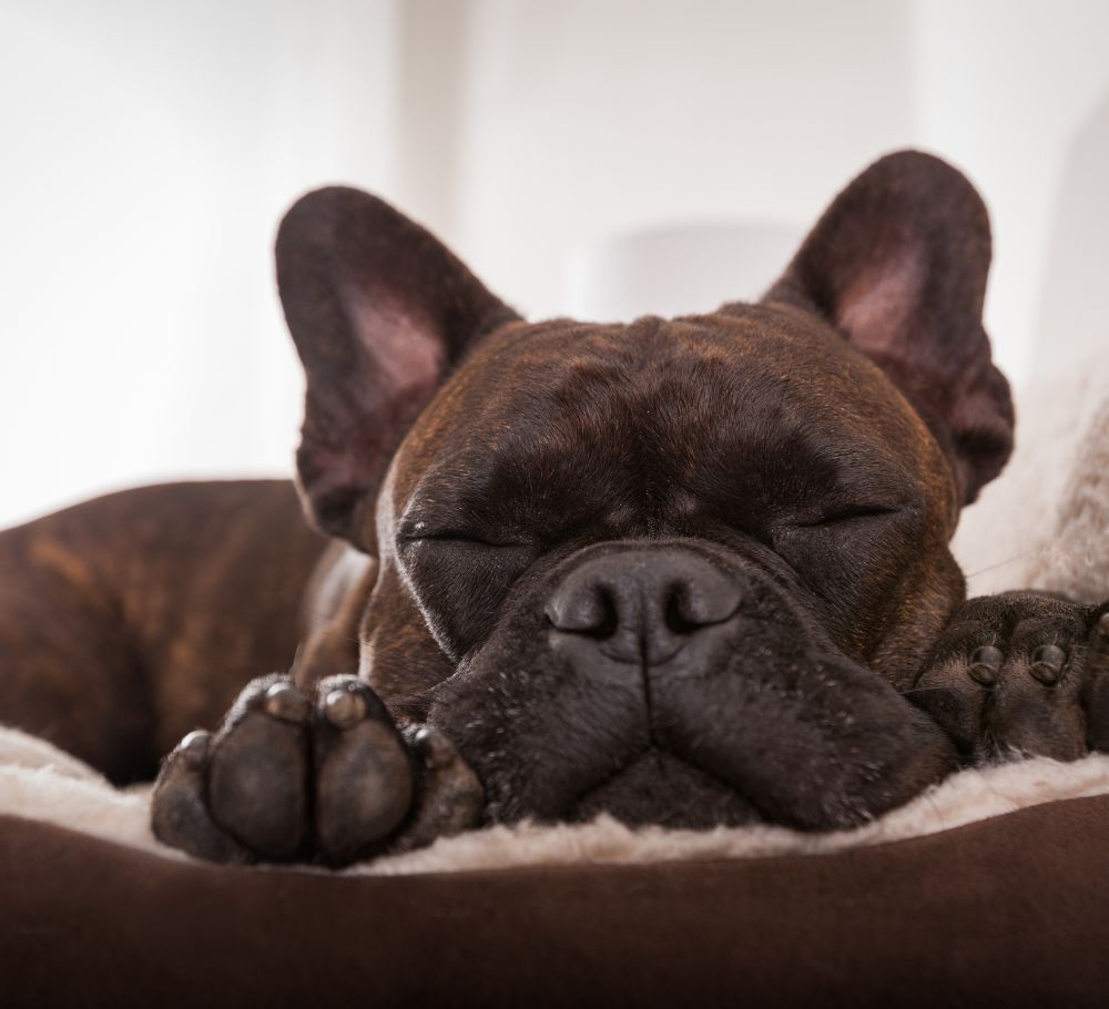 overnight care homepage