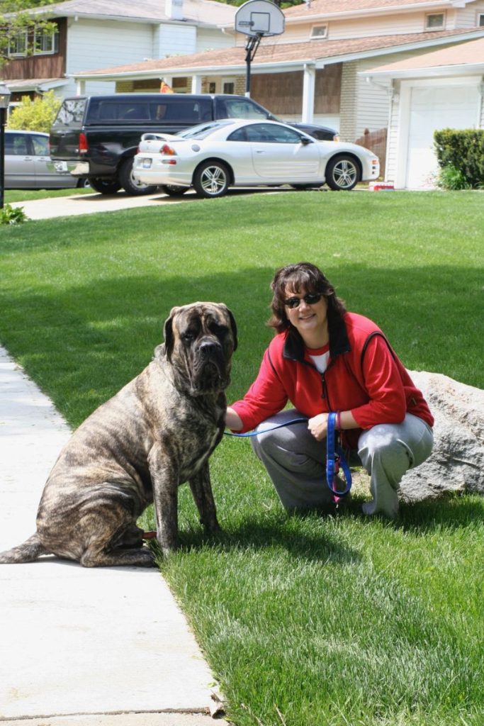 Why Choose Always with Love Pet Care - Exceptional Care